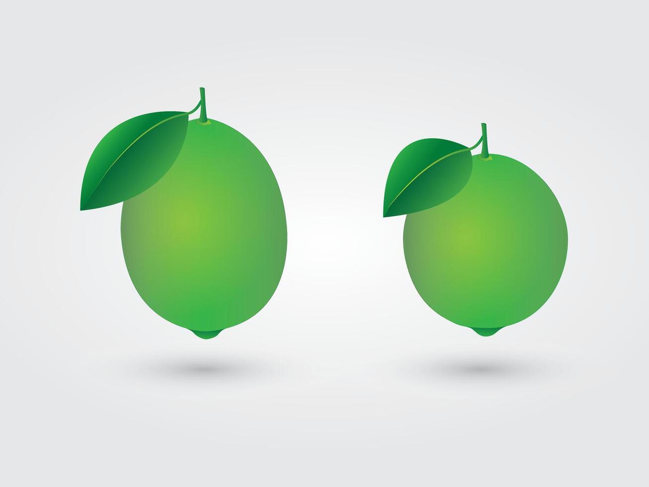 Green citrus or lemon with leaf and different size and shape illustration vector