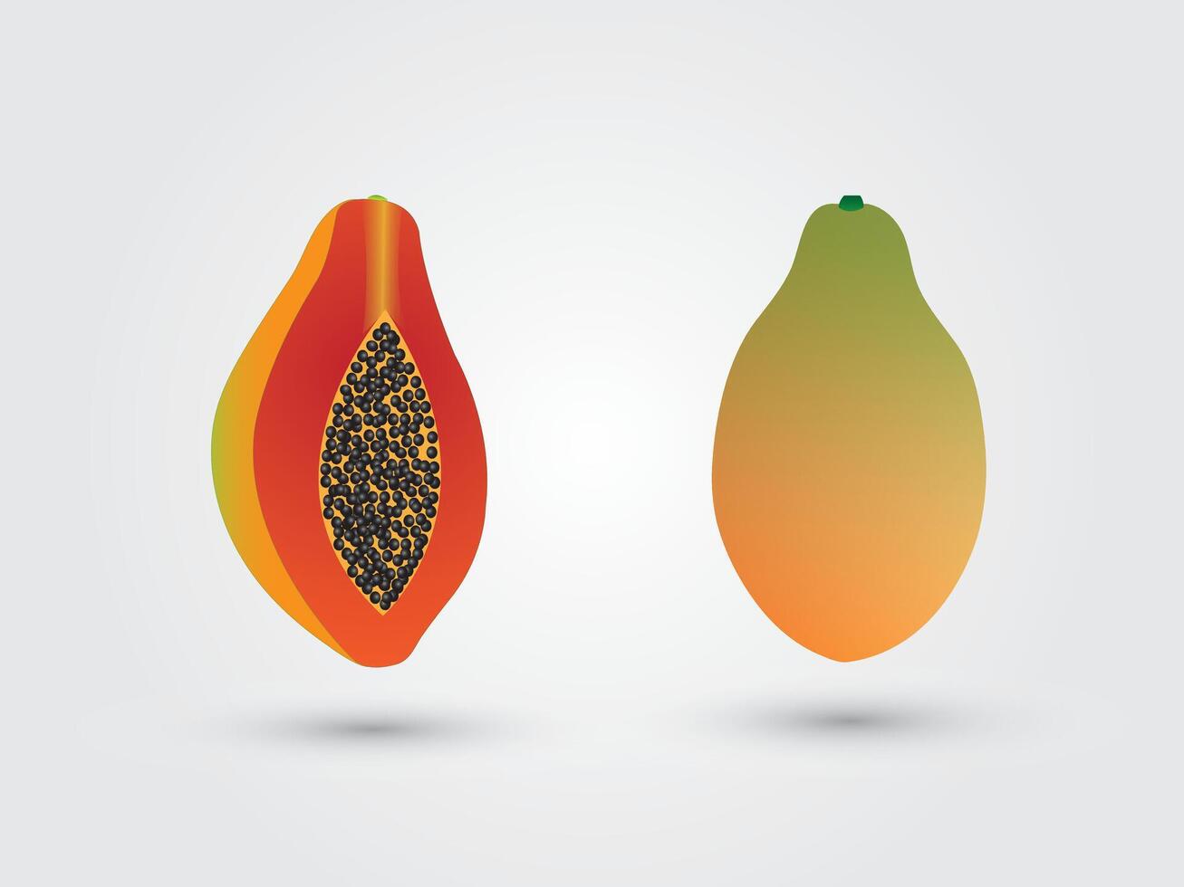 A sliced ripe fresh papaya illustration vector
