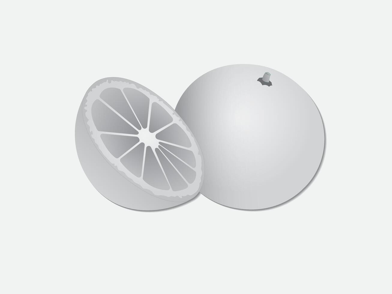 Drawing of a sliced and full orange on white page illustration vector