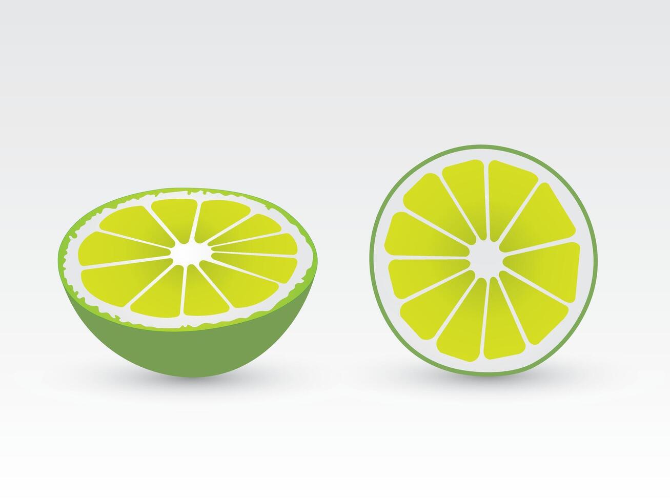 Half sliced green citrus or lemon cut on white background illustration vector