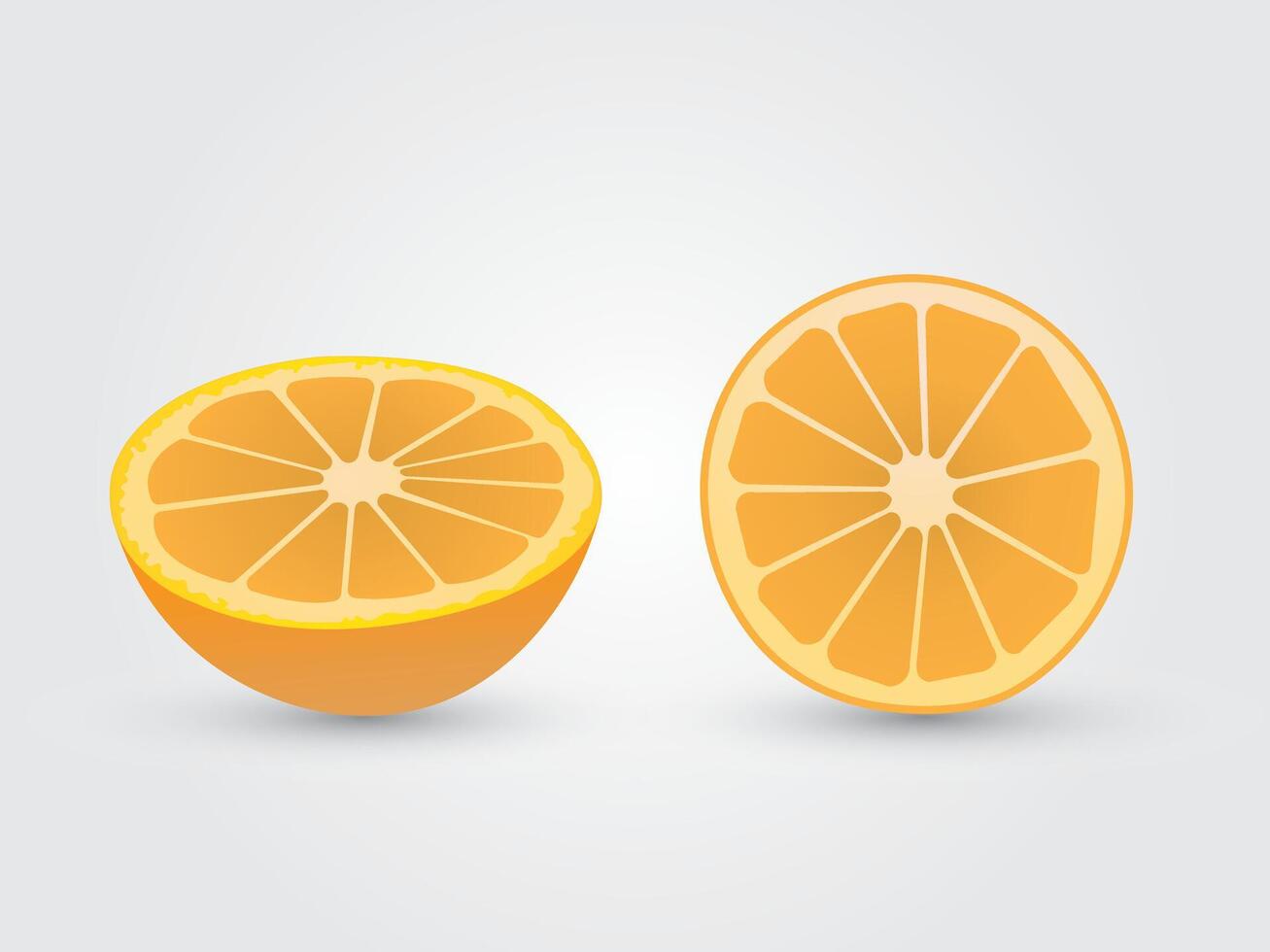 Half sliced orange fruit on white background illustration vector