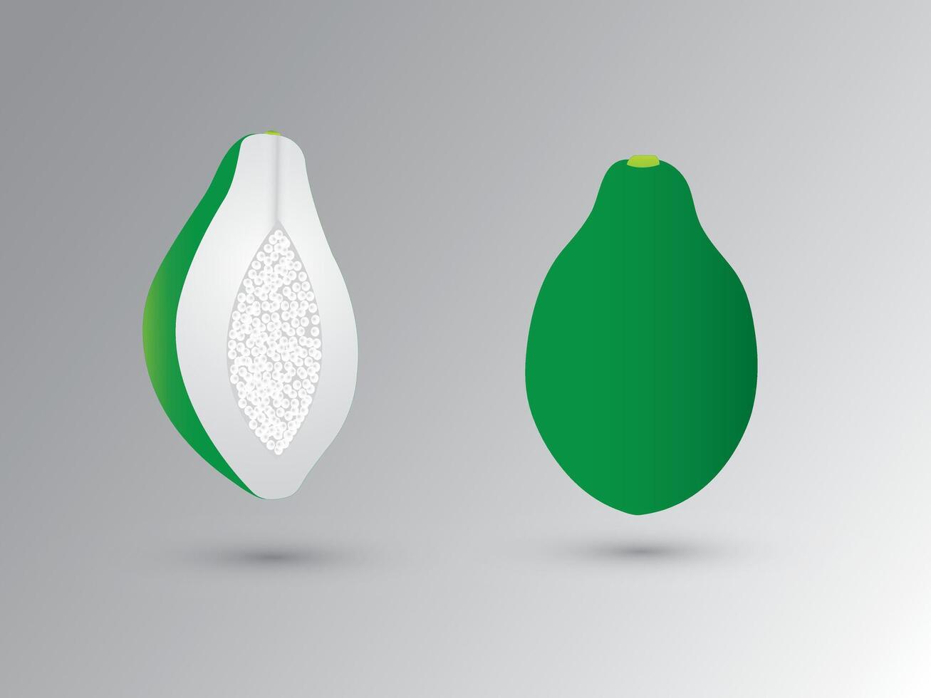 A sliced green and white fresh papaya illustration vector