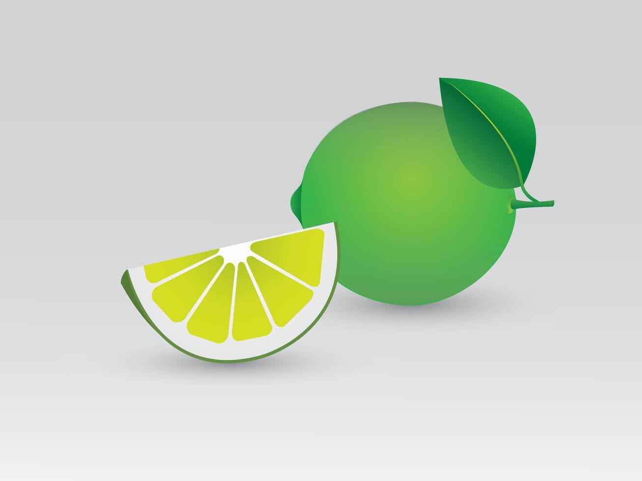 A green sliced citrus or lemon cut on white background illustration vector