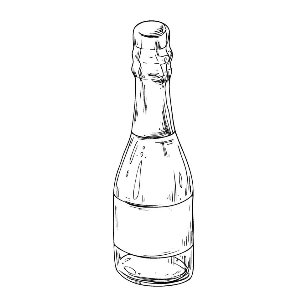 A close bottle with champagne, a wrapper and an empty white label. Line art is a simple hand-drawn illustration in black and white ink. Isolated EPS object. vector