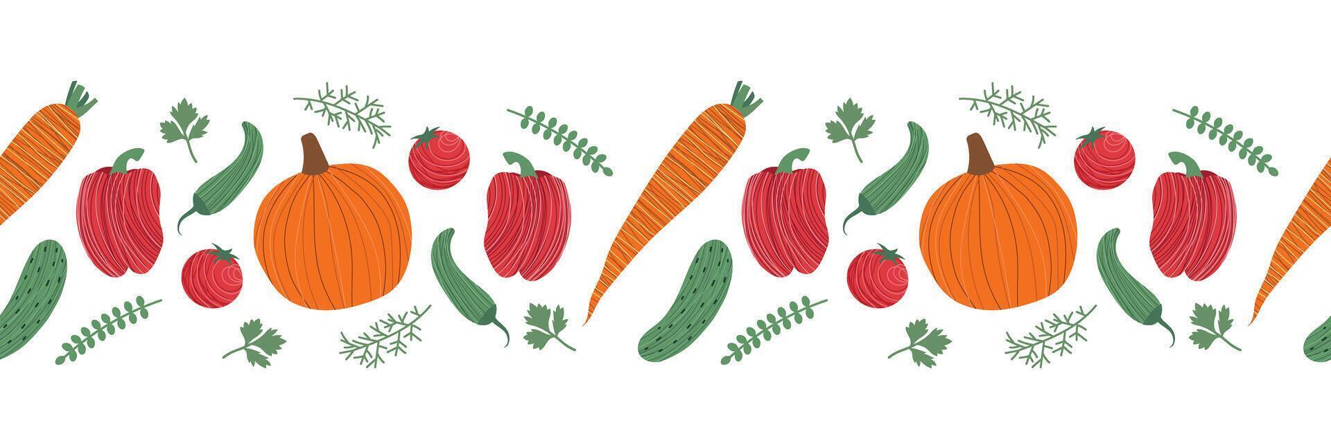 Vegetables seamless border. Pumpkin, carrots, cucumber and greens. Isolated illustration for your design vector