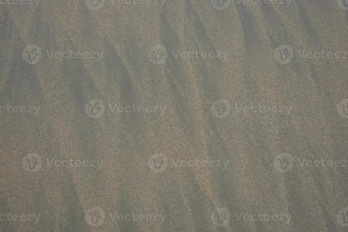 Nice Texture Background Image photo