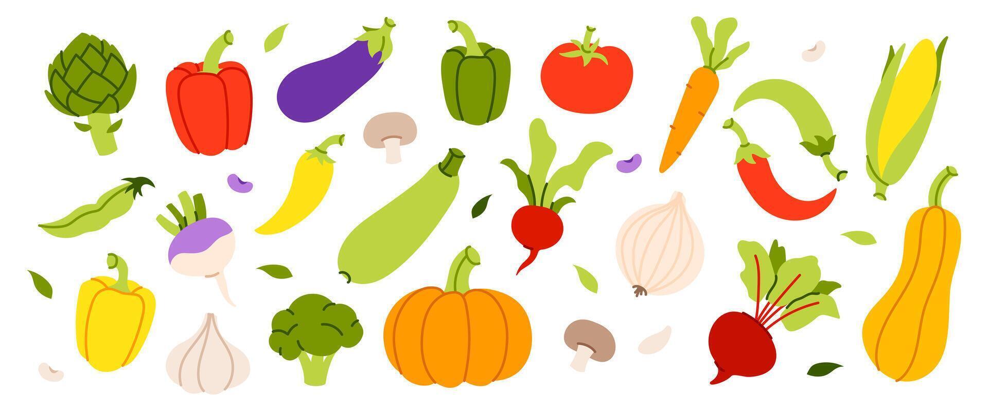 Set of fresh vegetables vector