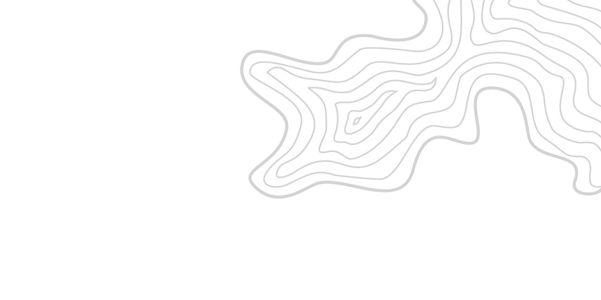 topographic contour background. contour lines background. Topographic map contour background. abstract wavy background. outdoor theme wavy abstract line background. vector