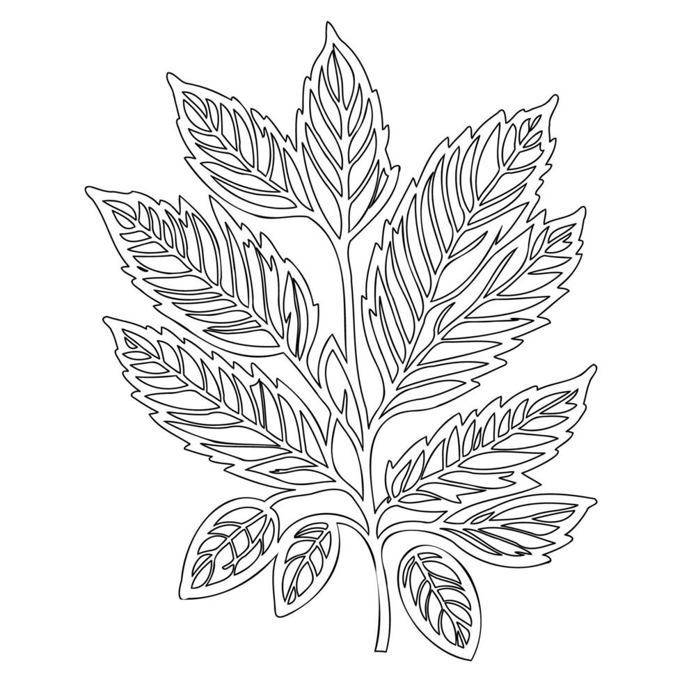 chestnut leaf floral outline illustration sketch vector
