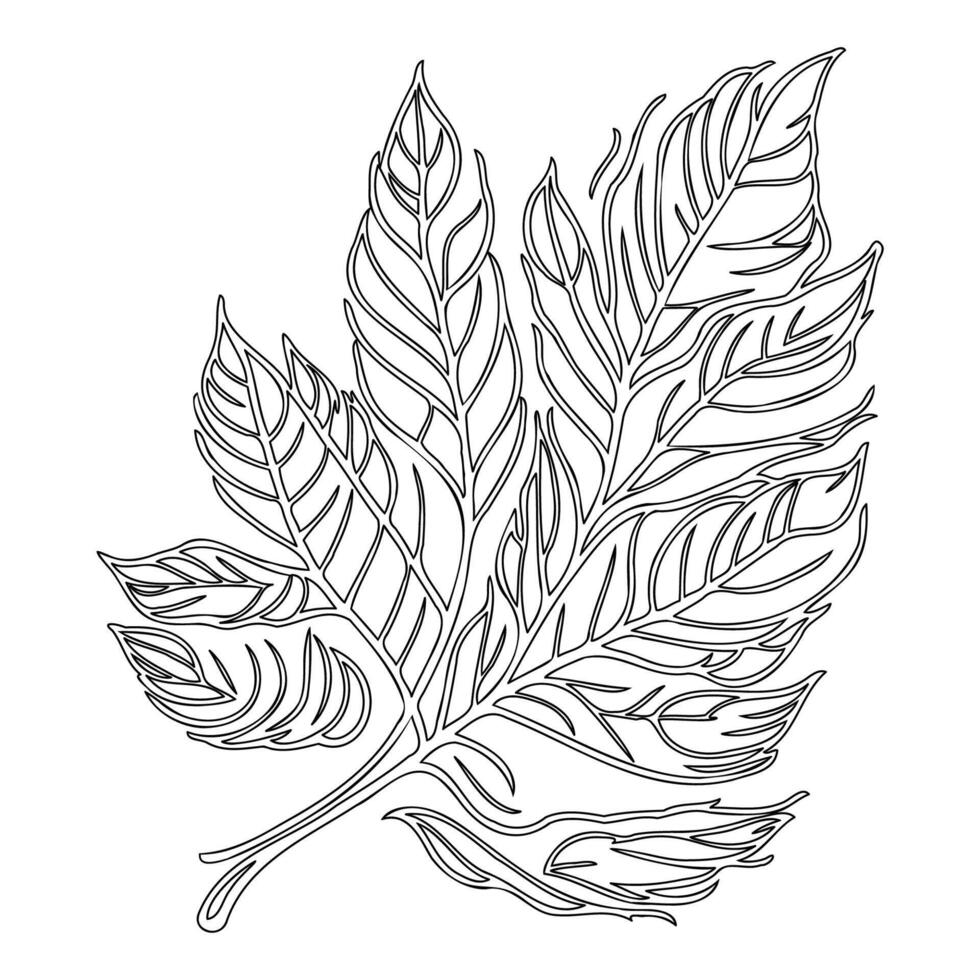 chestnut leaf floral outline illustration sketch vector