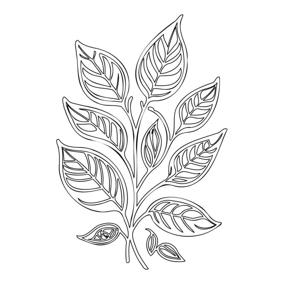 viburnum leaf floral outline illustration sketch vector