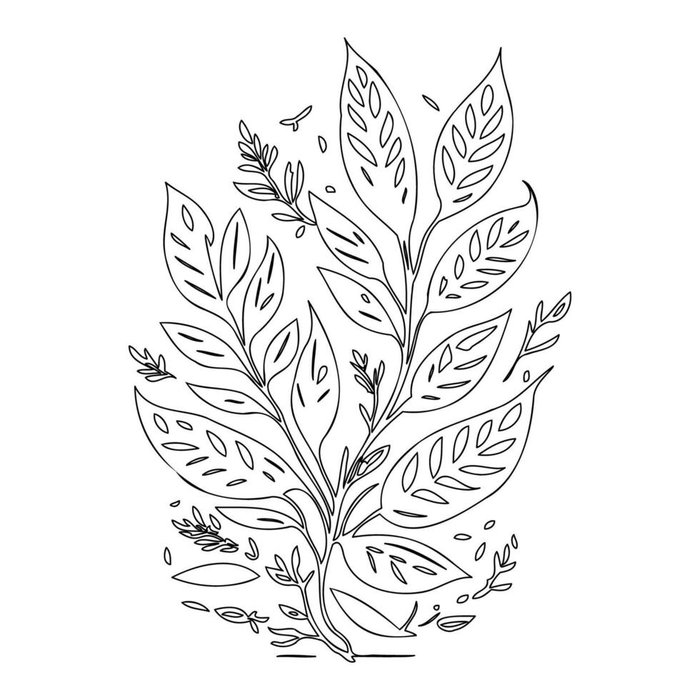 rowan leaf floral outline illustration sketch vector