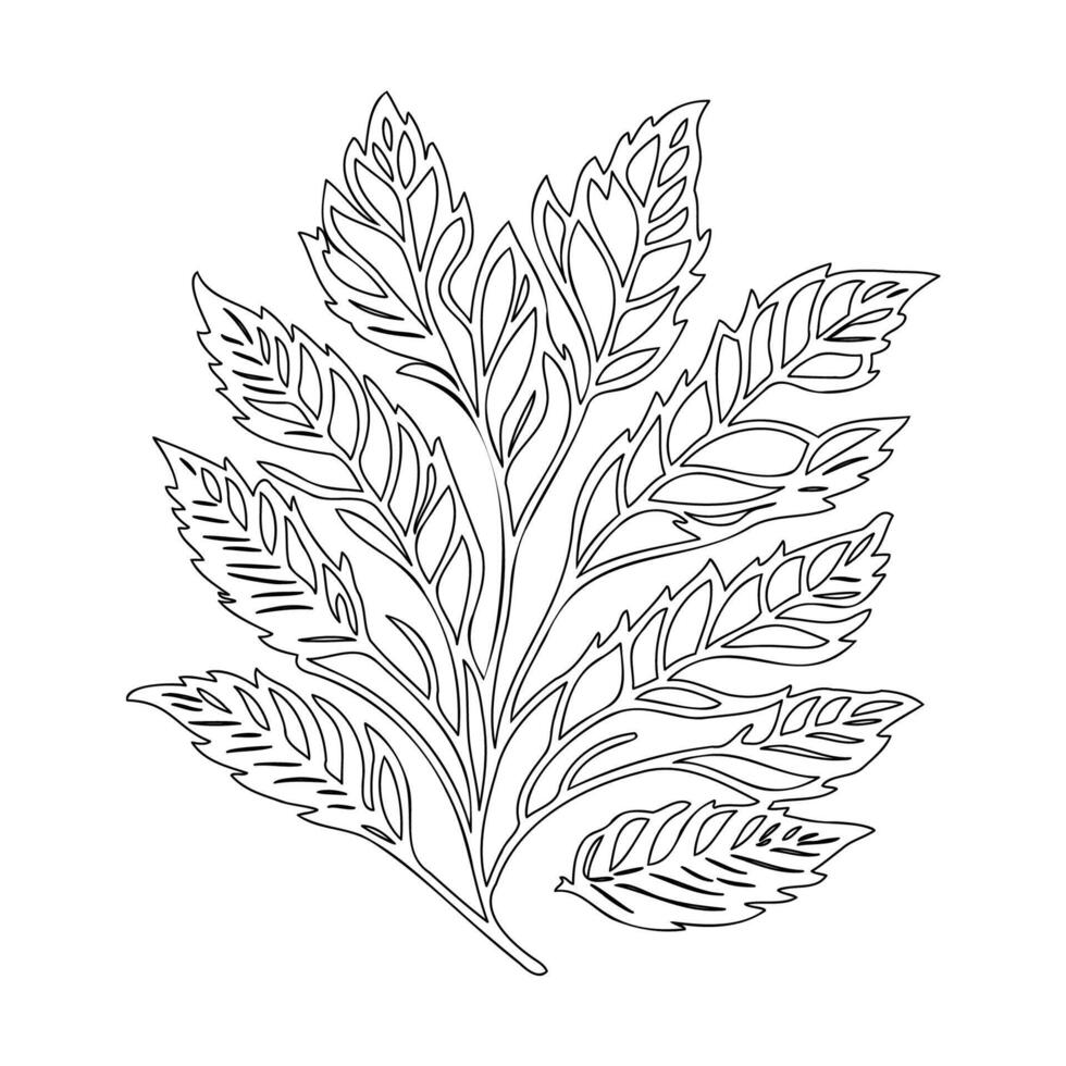viburnum leaf floral outline illustration sketch vector