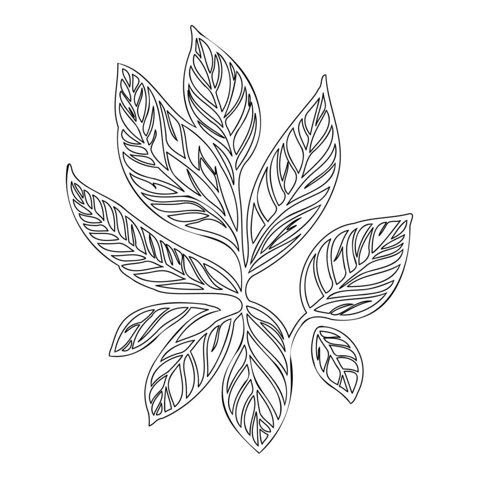 lilac leaf floral outline illustration sketch vector
