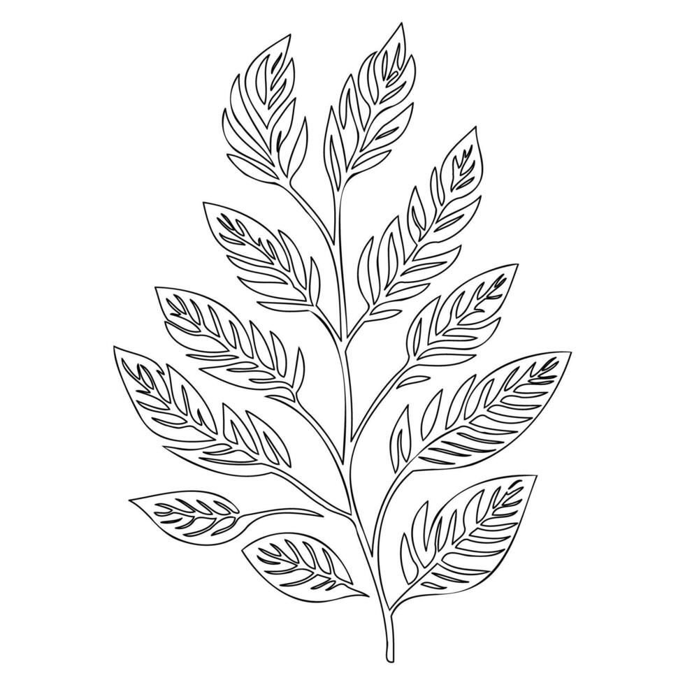 rowan leaf floral outline illustration sketch vector