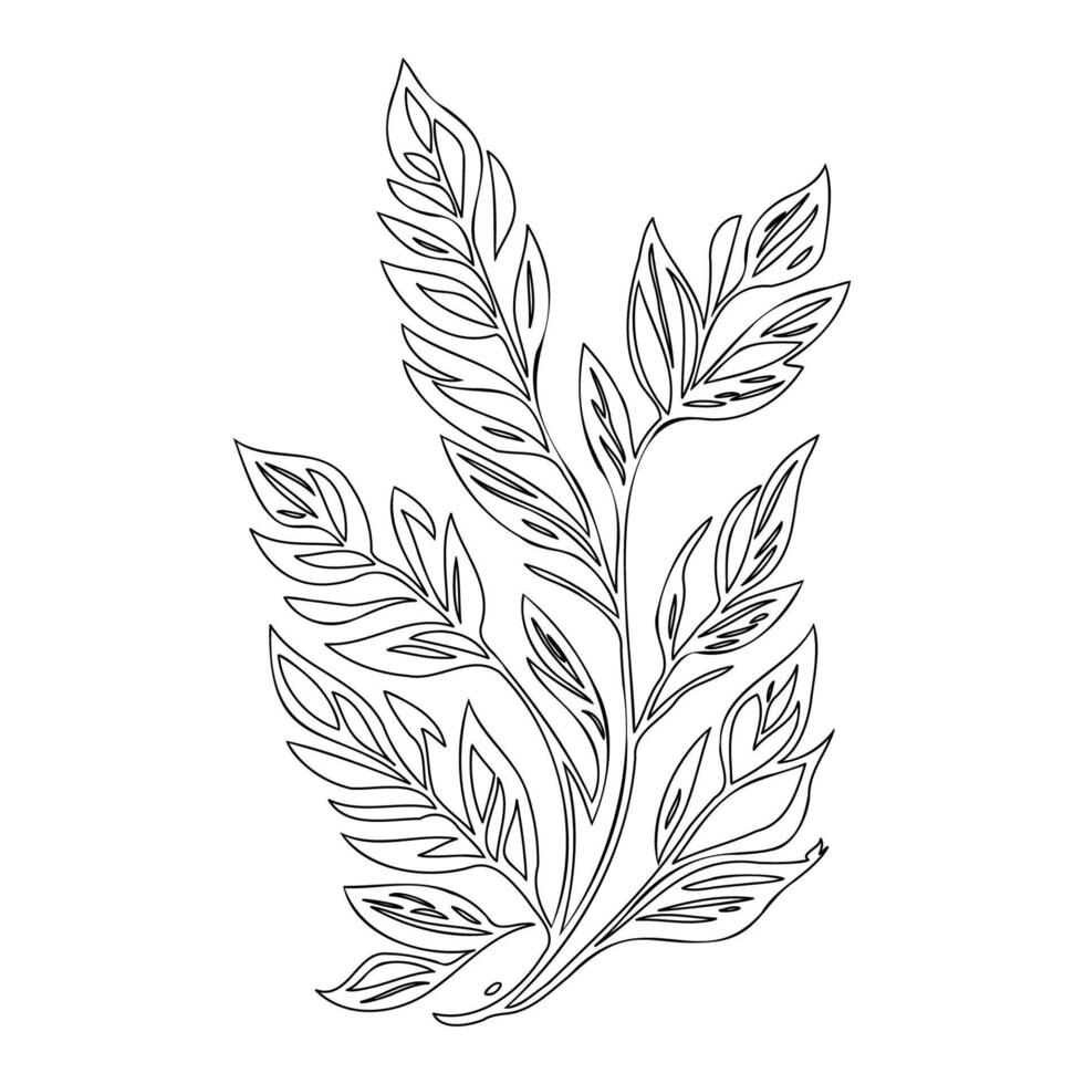 ash leaf floral outline illustration sketch vector