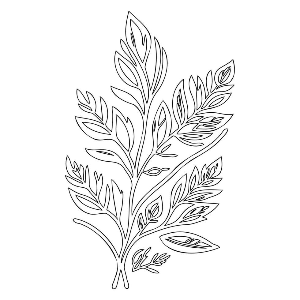 rowan leaf floral outline illustration sketch vector