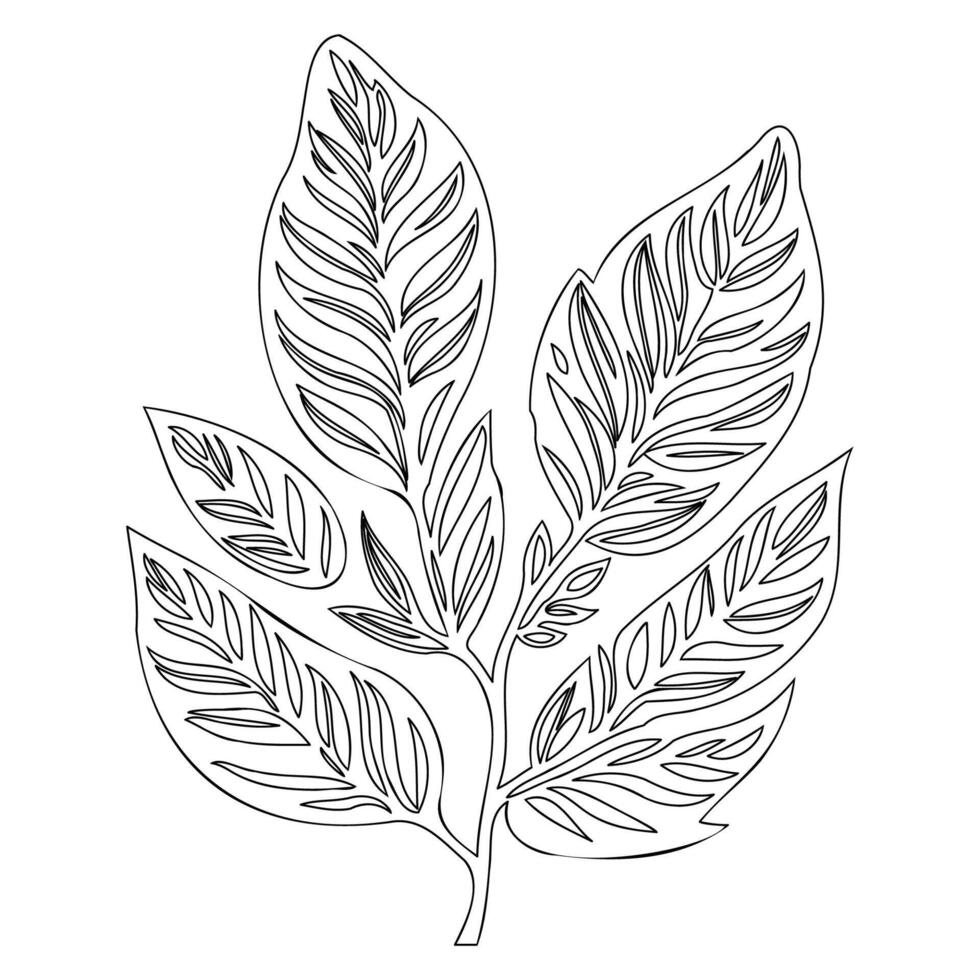 chestnut leaf floral outline illustration sketch vector