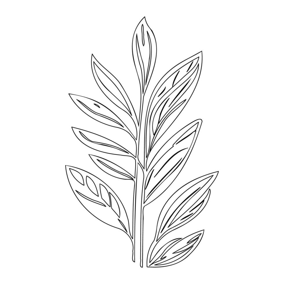 parallel leaf floral outline illustration sketch vector