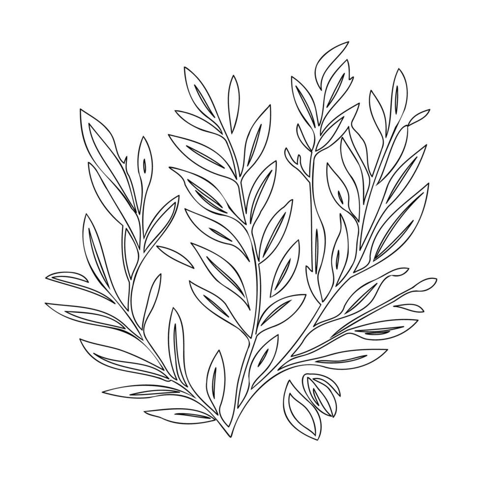 parallel leaf floral outline illustration sketch vector