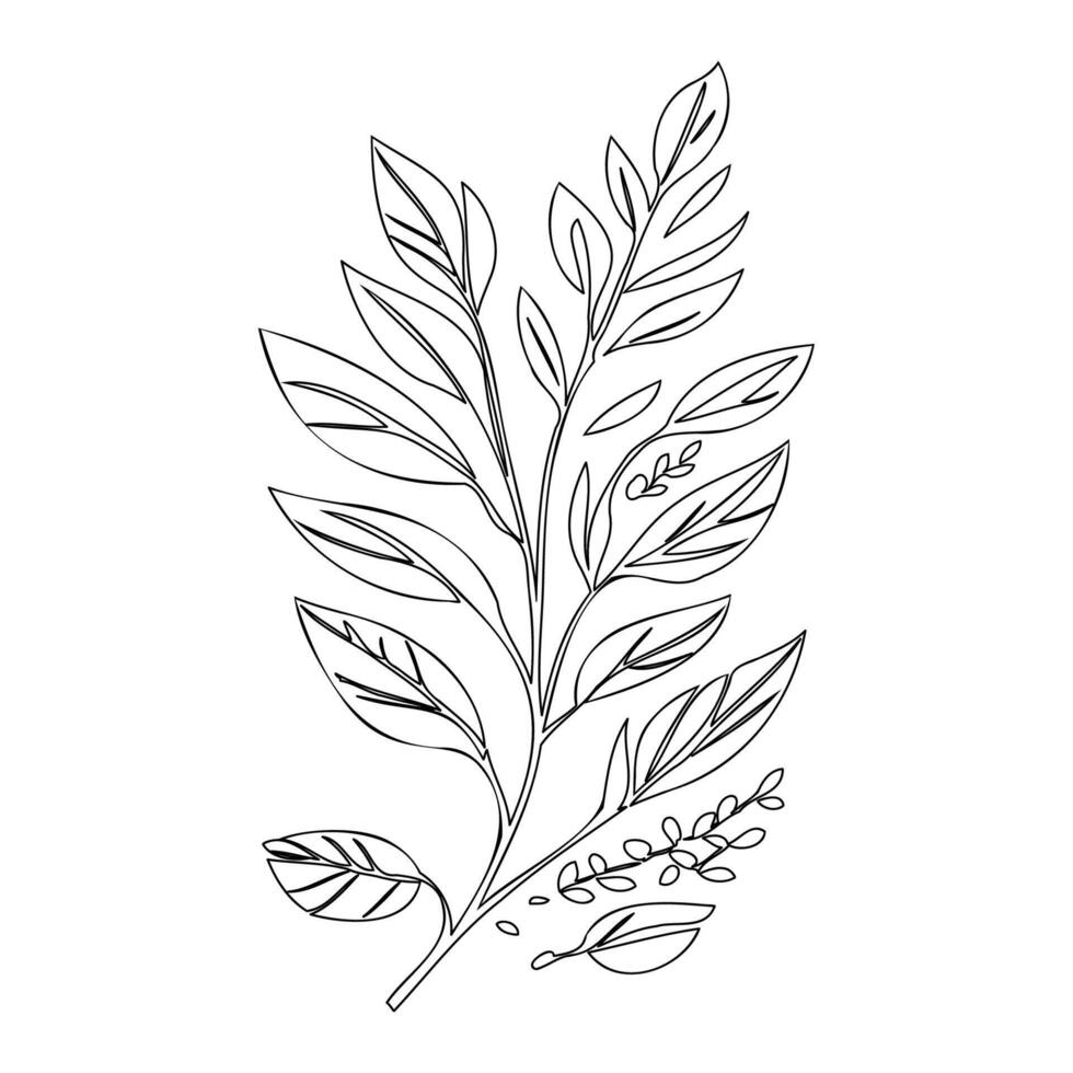parallel leaf floral outline illustration sketch vector