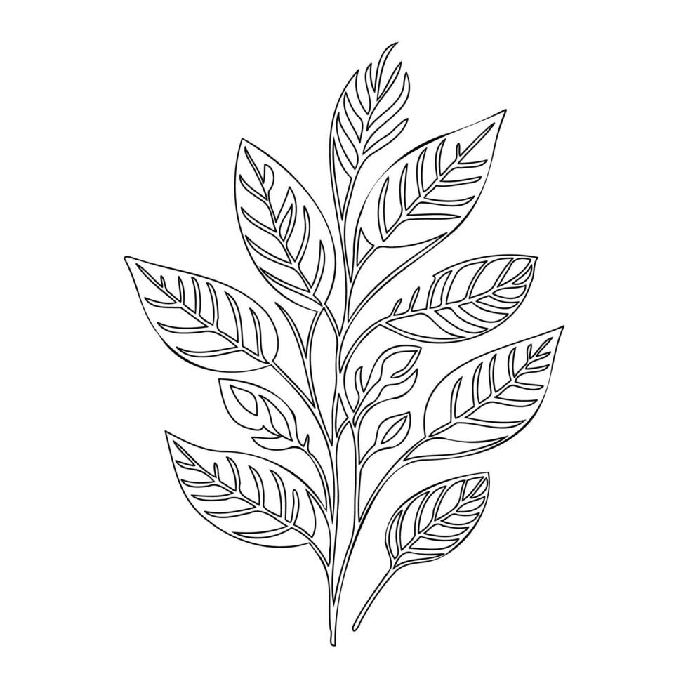 parallel leaf floral outline illustration sketch vector