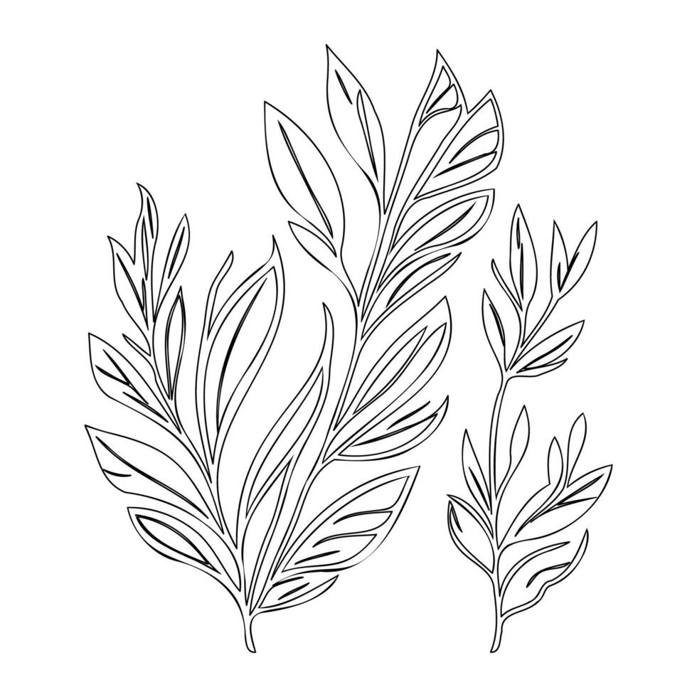 parallel leaf floral outline illustration sketch vector