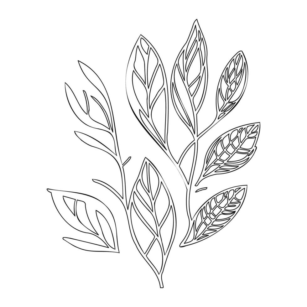 parallel leaf floral outline illustration sketch vector