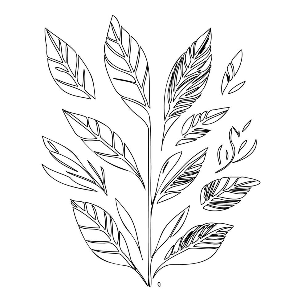 parallel leaf floral outline illustration sketch vector