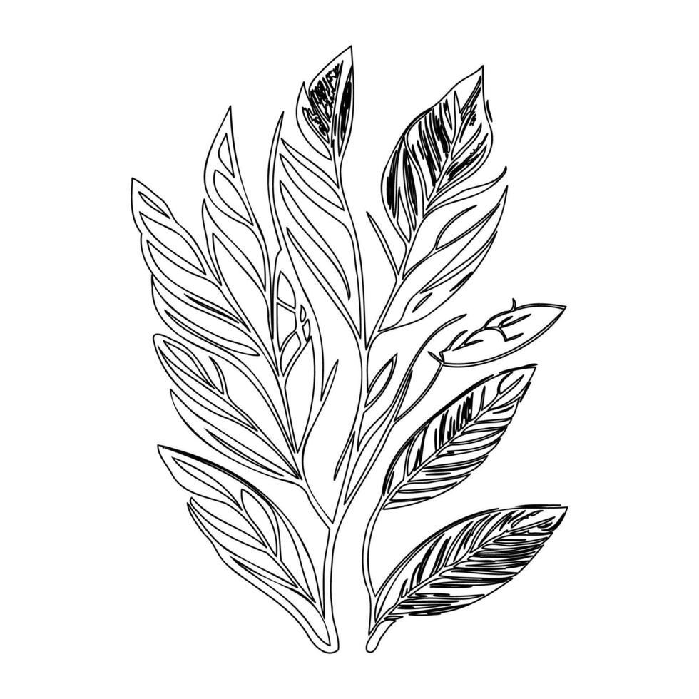 parallel leaf floral outline illustration sketch vector