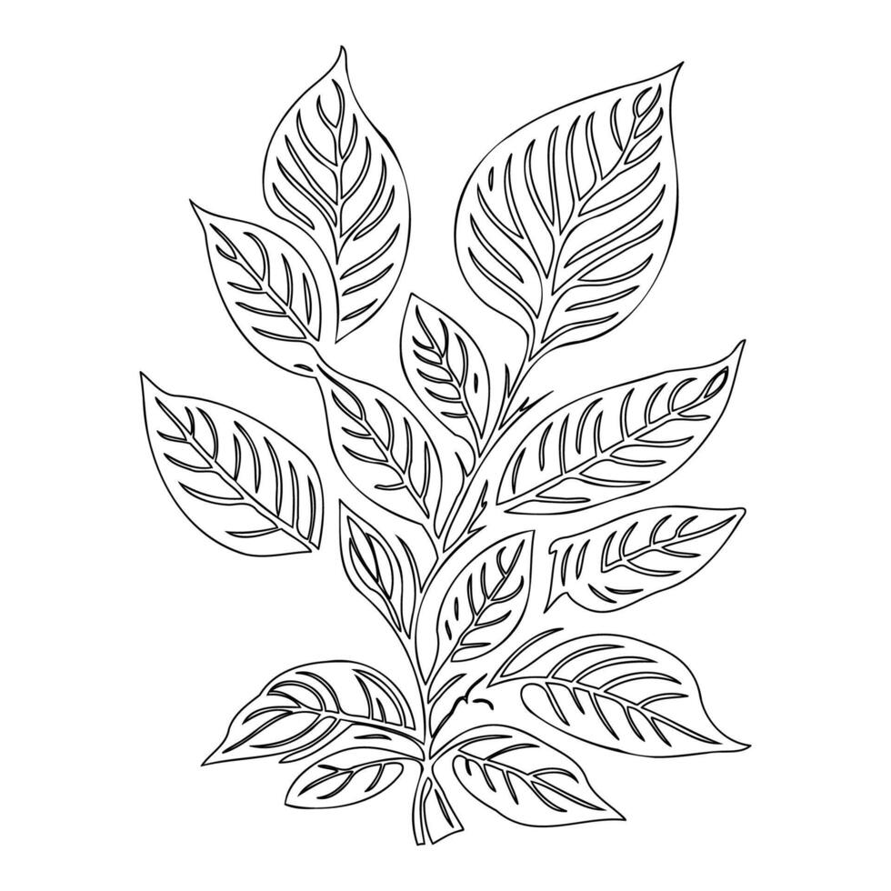 viburnum leaf floral outline illustration sketch vector