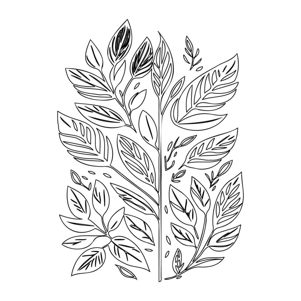 parallel leaf floral outline illustration sketch vector