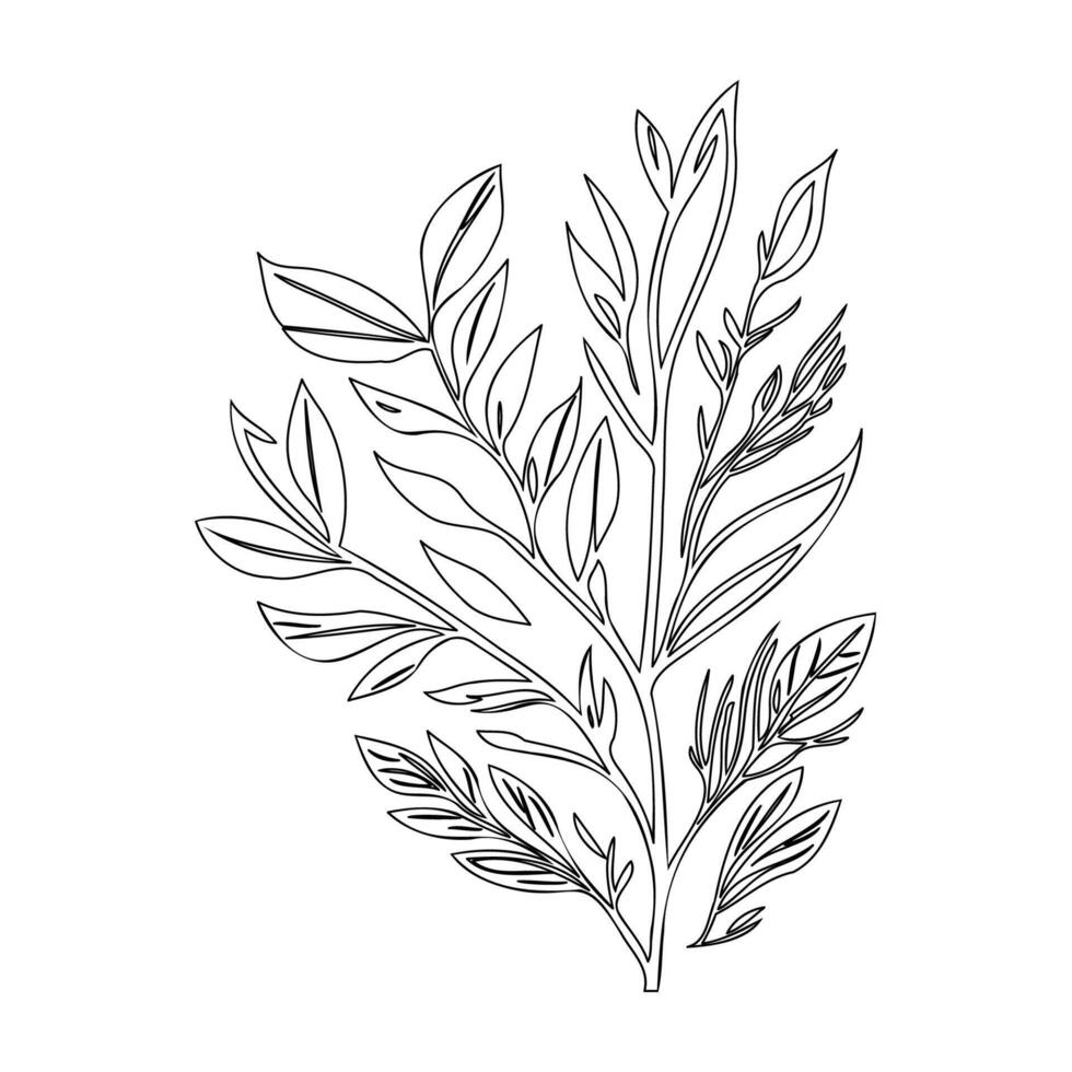 parallel leaf floral outline illustration sketch vector