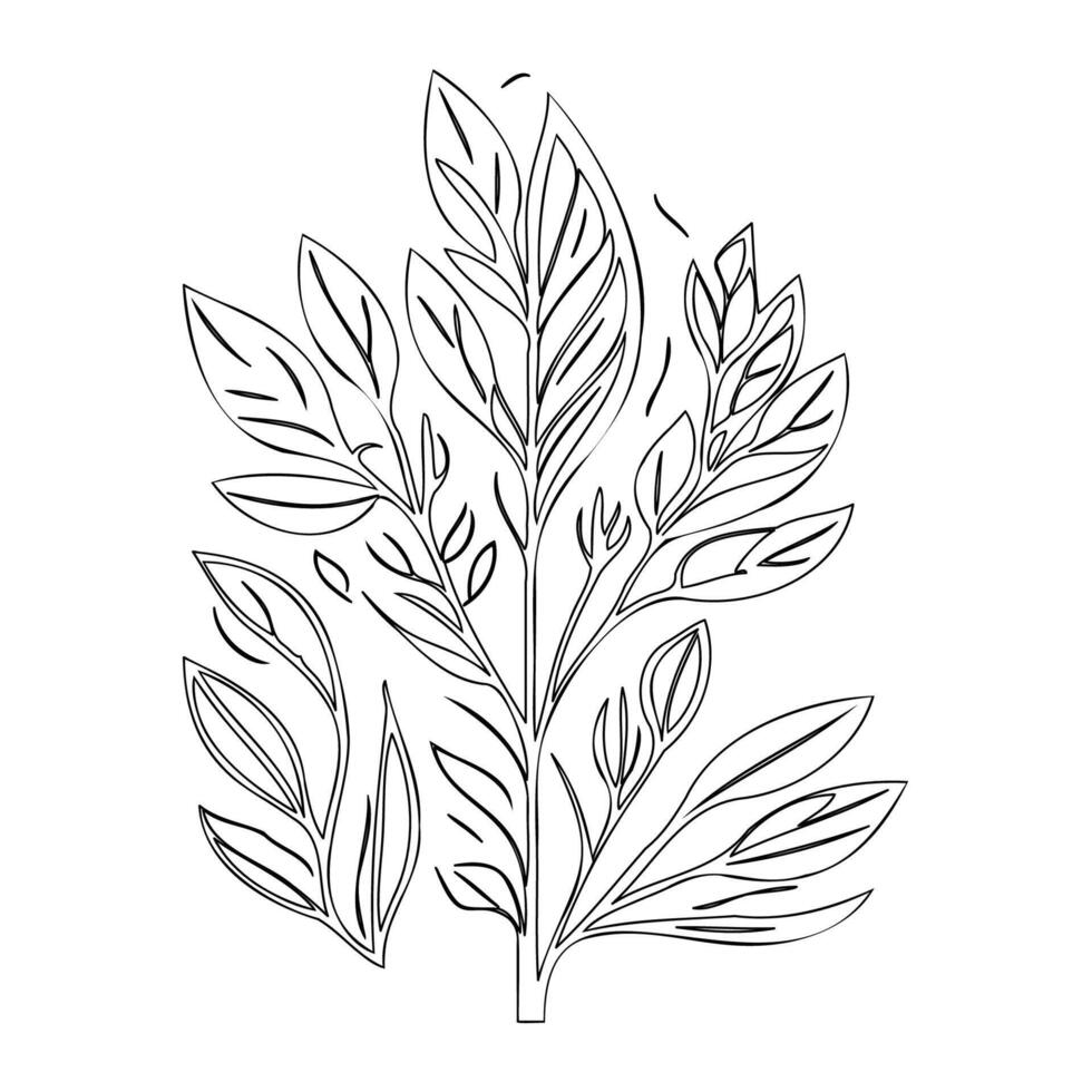 parallel leaf floral outline illustration sketch vector