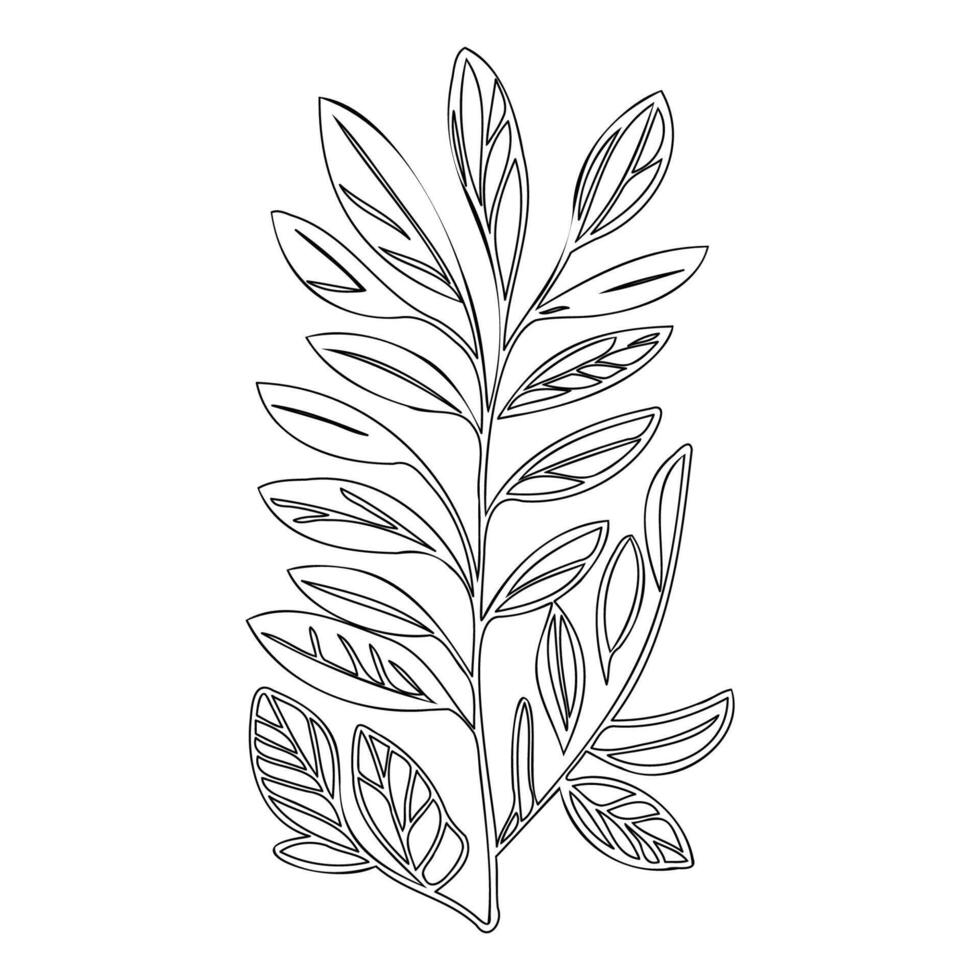 parallel leaf floral outline illustration sketch vector