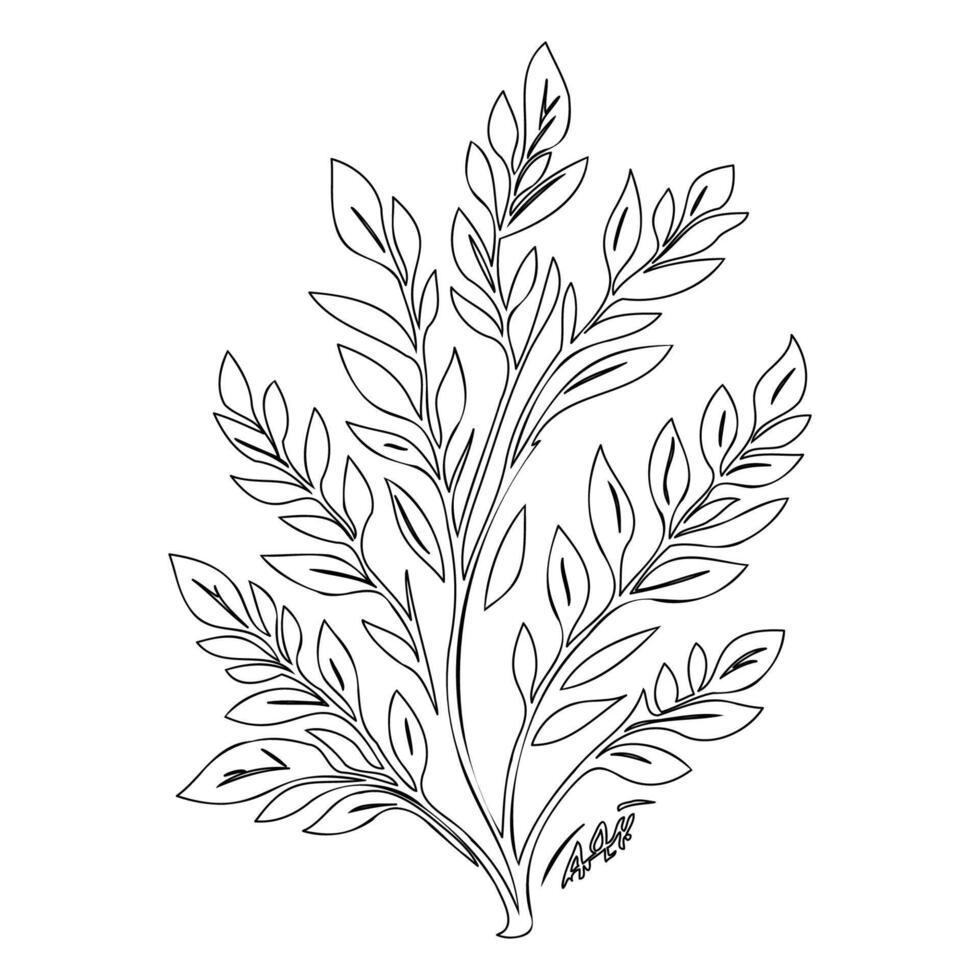 ash leaf floral outline illustration sketch vector