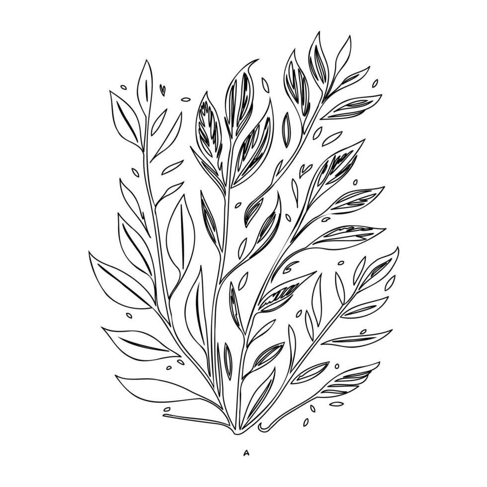 parallel leaf floral outline illustration sketch vector