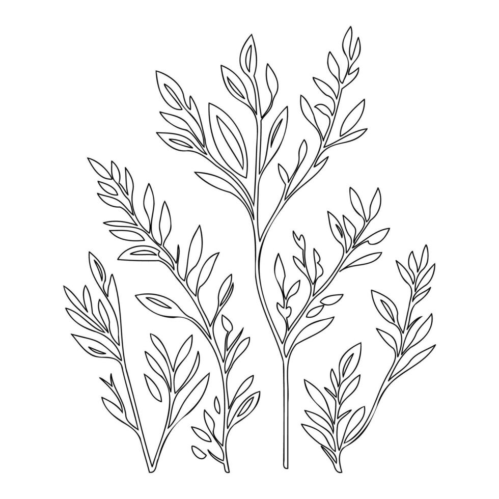 parallel leaf floral outline illustration sketch vector