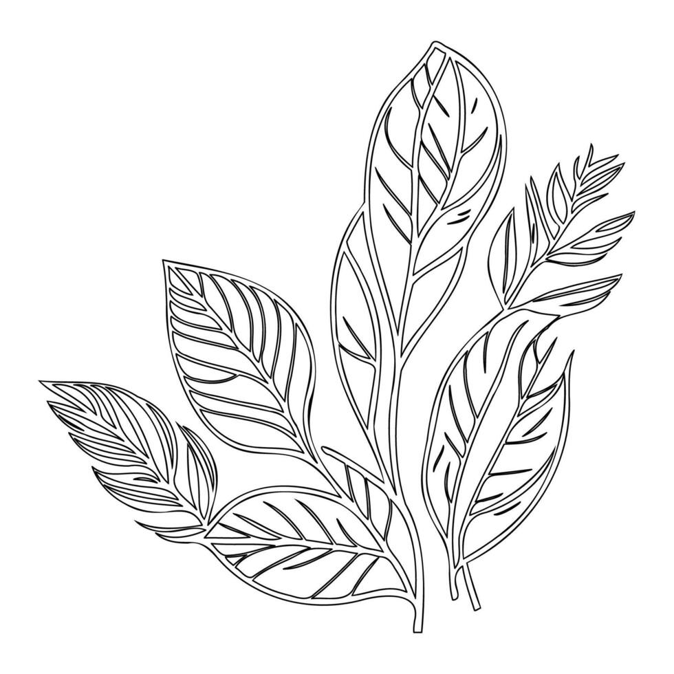 parallel leaf floral outline illustration sketch vector