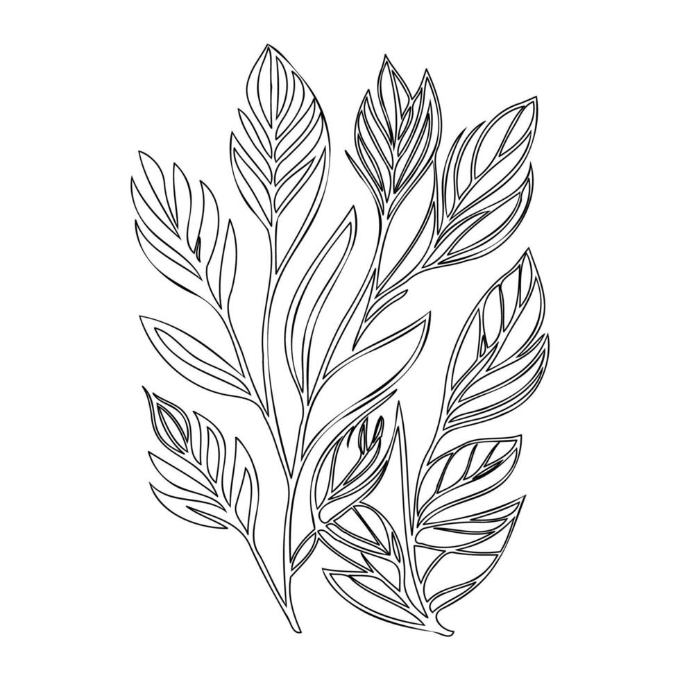 parallel leaf floral outline illustration sketch vector
