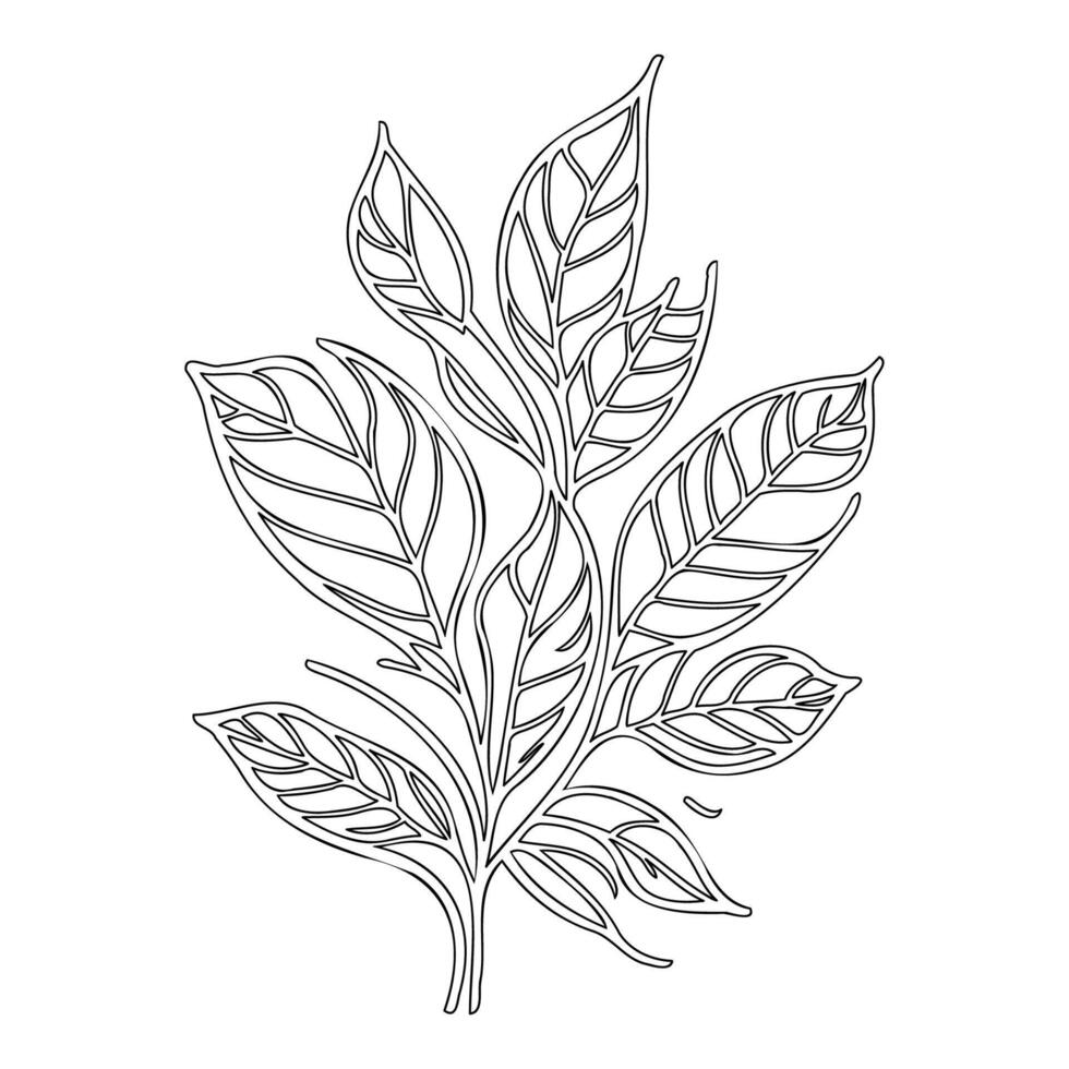 viburnum leaf floral outline illustration sketch vector