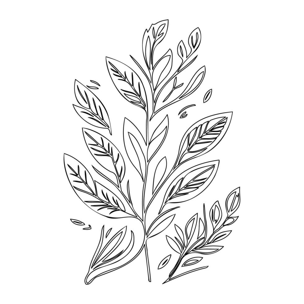 parallel leaf floral outline illustration sketch vector