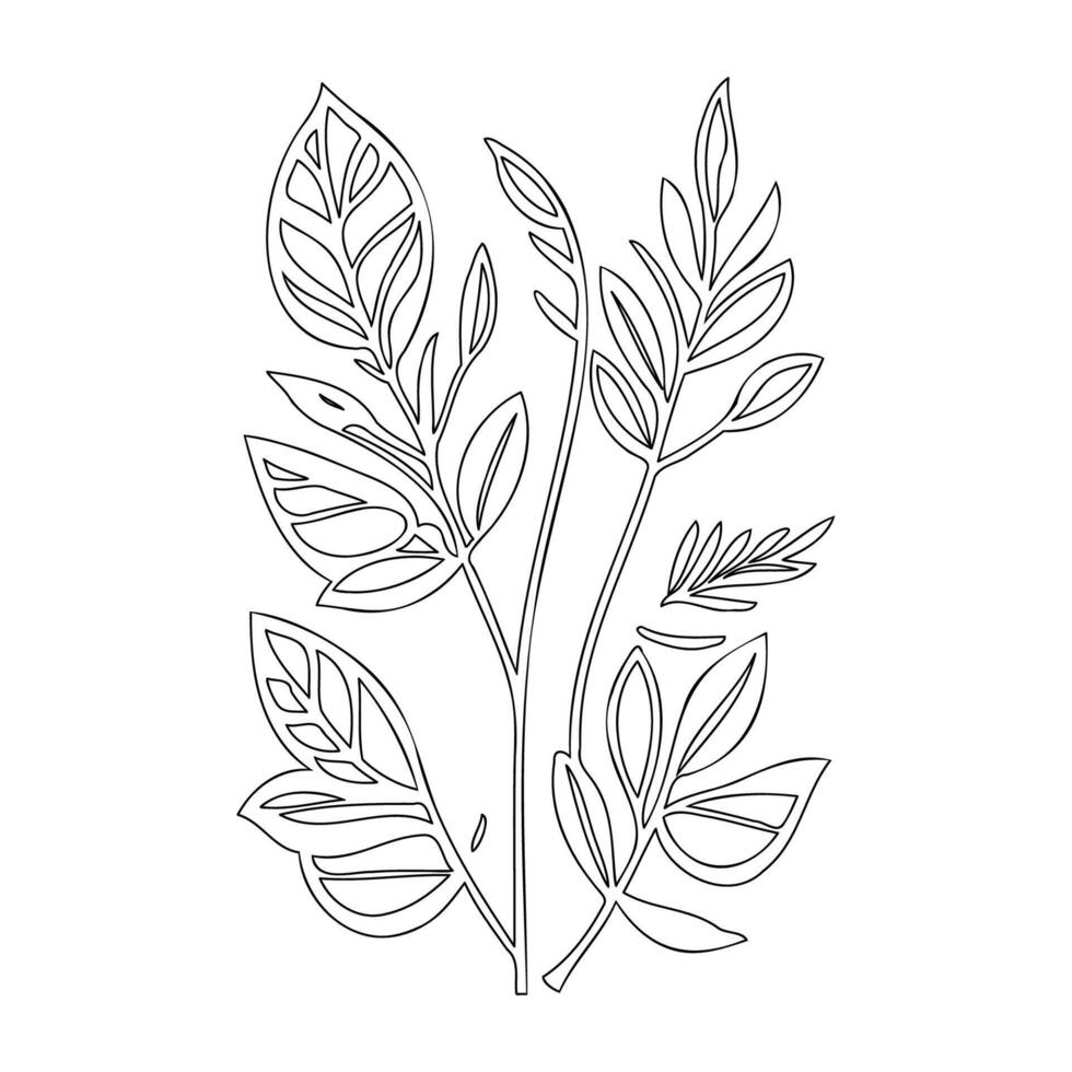 parallel leaf floral outline illustration sketch vector