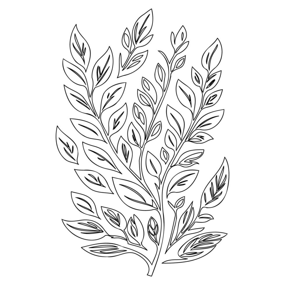 ash leaf floral outline illustration sketch vector
