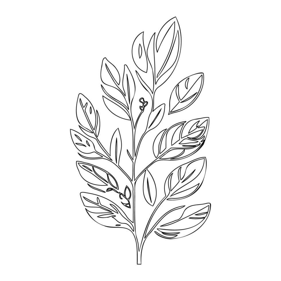 parallel leaf floral outline illustration sketch vector
