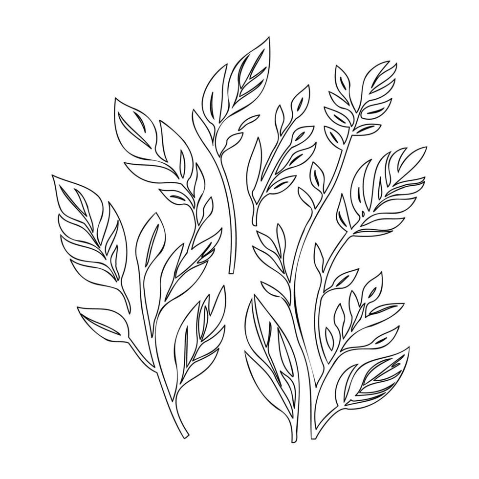 parallel leaf floral outline illustration sketch vector
