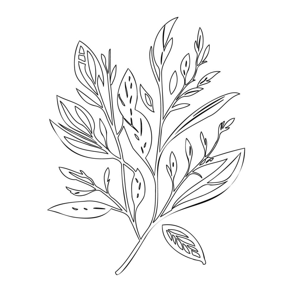 parallel leaf floral outline illustration sketch vector