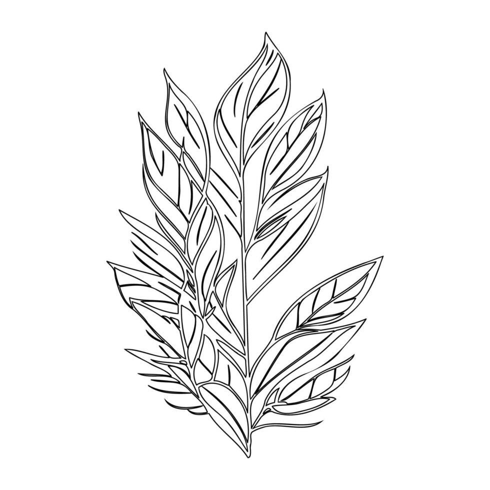 parallel leaf floral outline illustration sketch vector