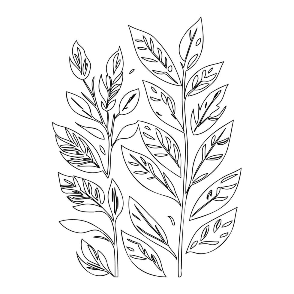 parallel leaf floral outline illustration sketch vector