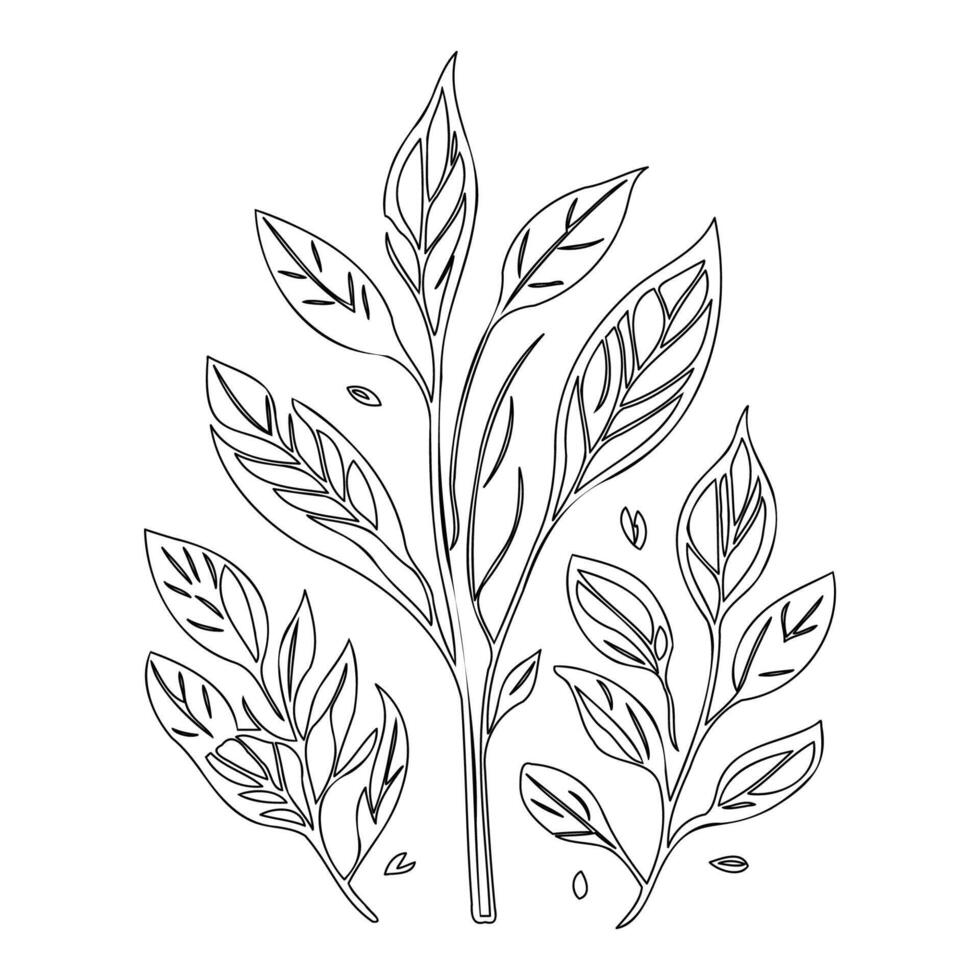 parallel leaf floral outline illustration sketch vector